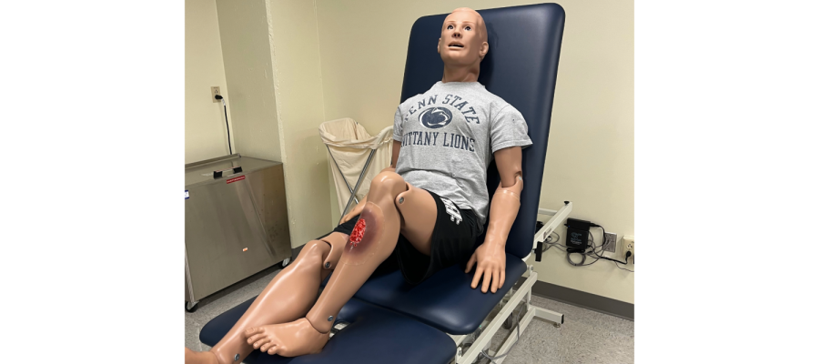 A medical manikin, 'Hal', sits upright on a high-low table and features a wound on its shin.